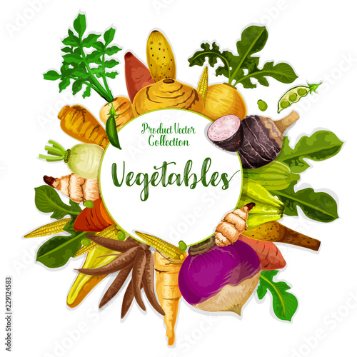 Vegetables and veggie tuber roots, harvest
