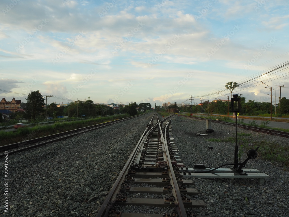 Obraz premium OLYMPUS DIGITAL CAMERA