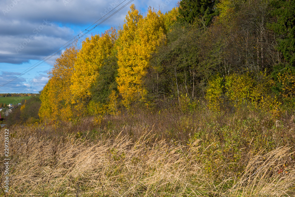 Panorama of Klin-Dmitrovsky ridge with villages and high voltage line in autumn, Sergiev Posad district, Moscow region, Russia
Panorama of Klin-Dmitrovsky ridge with villages and high voltage line in autumn, Sergiev Posad district, Moscow region, Russia