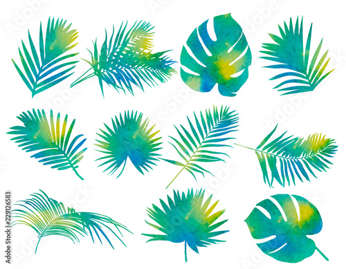 watercolor palm leaf  set