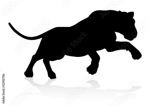 A female lion or other big cat safari animal in silhouette