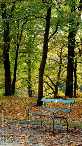 Herbstgefühl 