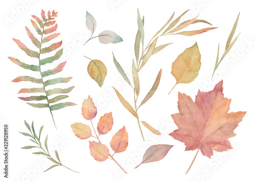 Watercolor floral set. Hand drawn isolated illustration. Botanical art background. Autumn leaves