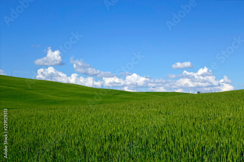 Feld in Val d'Orcia . Toskana