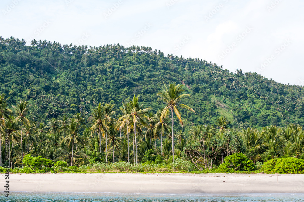 Fototapeta premium beach in Lombok Indonesia