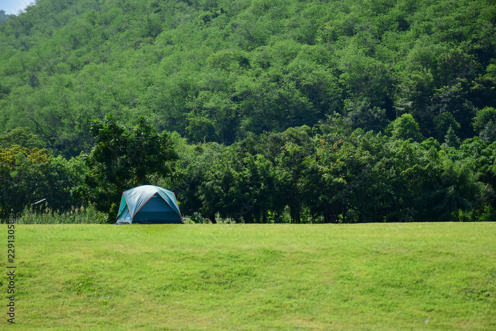 camping tent on the green grass around with green forest.