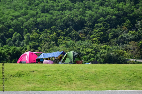 camping tent on the green grass around with green forest.