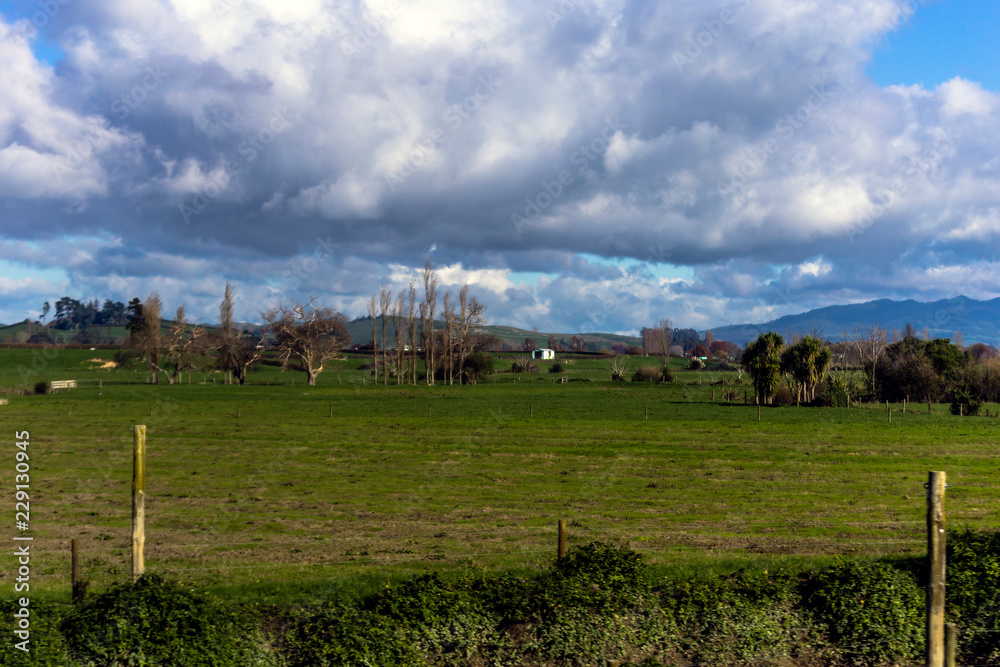 Countryside in New Zealand Countryside in New Zealand