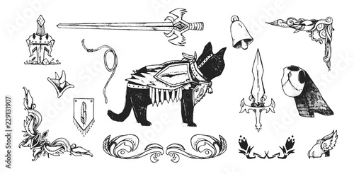The set of hand-drawn illustration on a fantasy theme of middle ages. Cat in armor with swords and other elements. The collection includes frames.