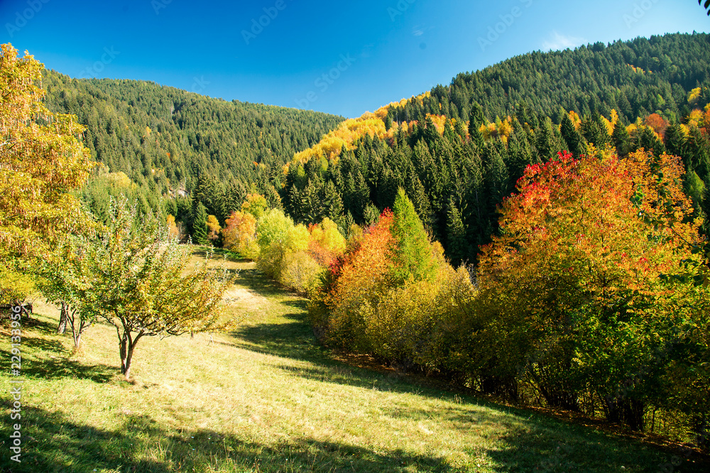 Fototapeta premium Vallata alpina in autunno