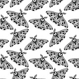 Night moth seamless pattern.. Butterfly pattern. Vector illustration of a butterfly on a black background. Use on the T-shirt and textile