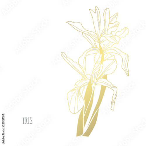 Fototapeta Naklejka Na Ścianę i Meble -  golden floral decoration