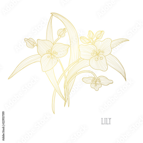 Fototapeta Naklejka Na Ścianę i Meble -  golden floral decoration