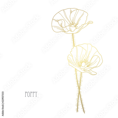 Fototapeta Naklejka Na Ścianę i Meble -  golden floral decoration