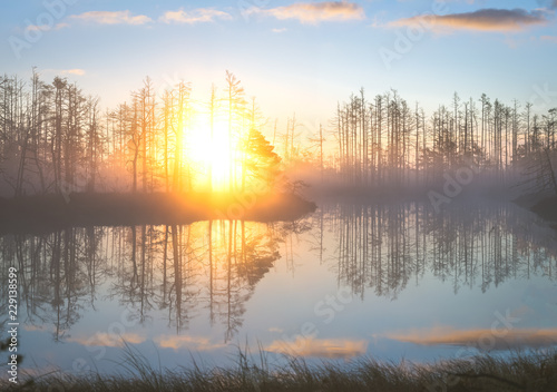 Colorful sunrise at swamp covered in fog. Wooden trail leading through the swamp. Sunshine through the thick mist with tree silhouettes at Cenas Tīrelis in Latvia. Early morning delight. 