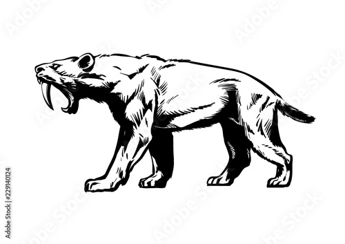 Saber toothed tiger. Smilodon. Saber-toothed cat. Hand drawn sketch style vector illustration isolated on white background.