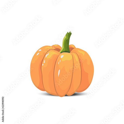 isolated color pumpkin on a white background. cartoon style