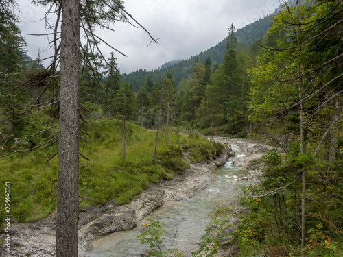 Oberbayern. Die Weissach im Spätsommer, ein fluss das hat seine Quelle in Blaubergen, entwässert das Kreuther Tal bis Rottach-Egern und zur Mündung in den Tegernsee photo