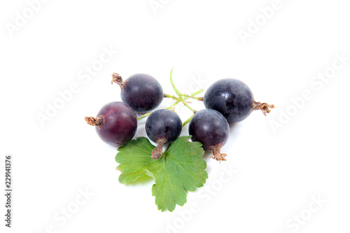 Black currant berry isolated on white. A bunch of black currant..