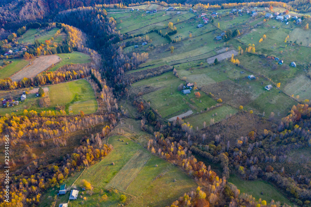 Aerial view of autumn hills and forest