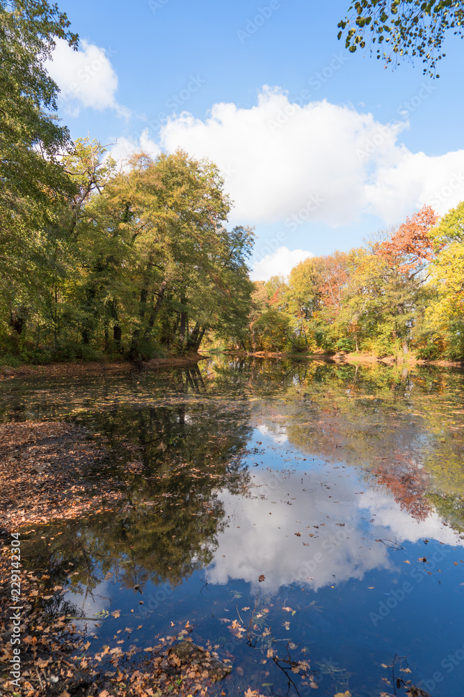 Autumn landscape. Reflection of colorful trees in the pond Autumn landscape. Reflection of colorful trees in the pond