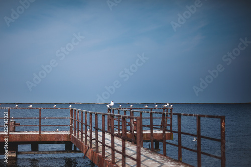 White seagulls seating on a railing of empty dock on a river