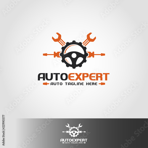 Auto Expert Logo Template