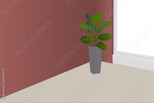 burgundy room with ficus
