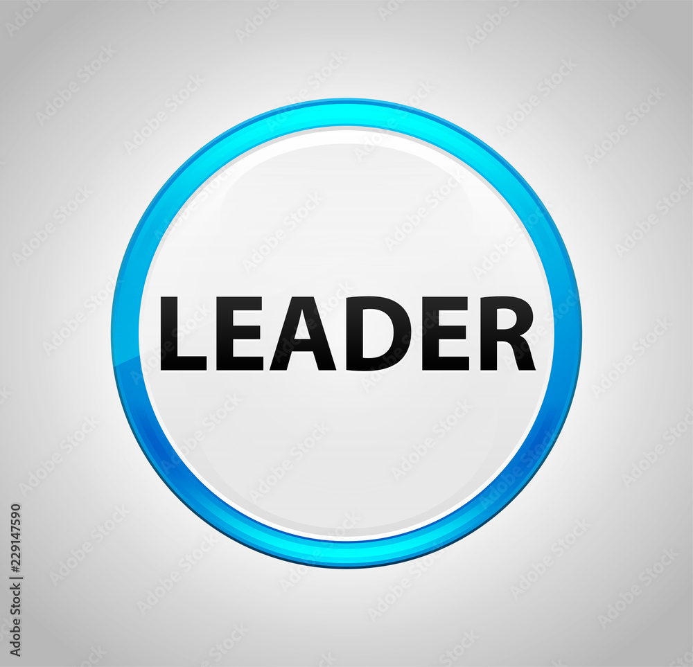Leader Round Blue Push Button Leader Round Blue Push Button