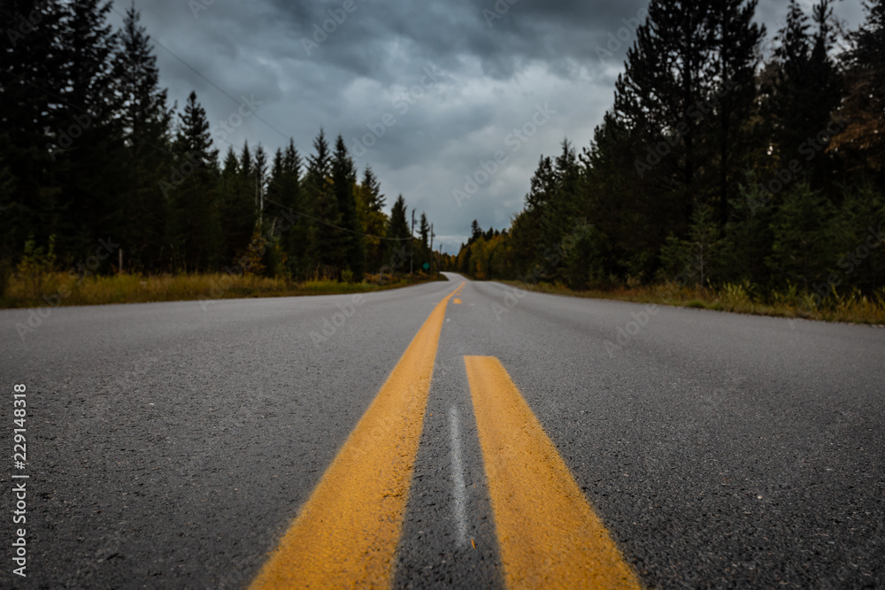 Naklejka premium Highway in Wells Gray Provincial Park, British Columbia, Canada
