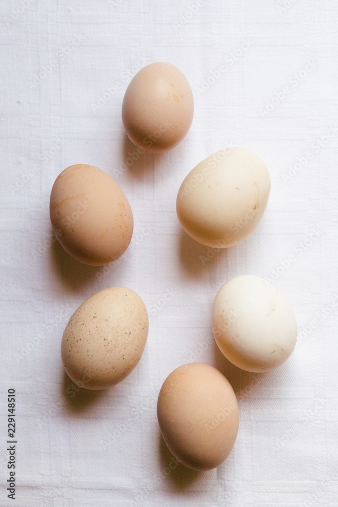Fresh eggs from local chickens in Southern Italy. Fresh eggs from local chickens in Southern Italy.