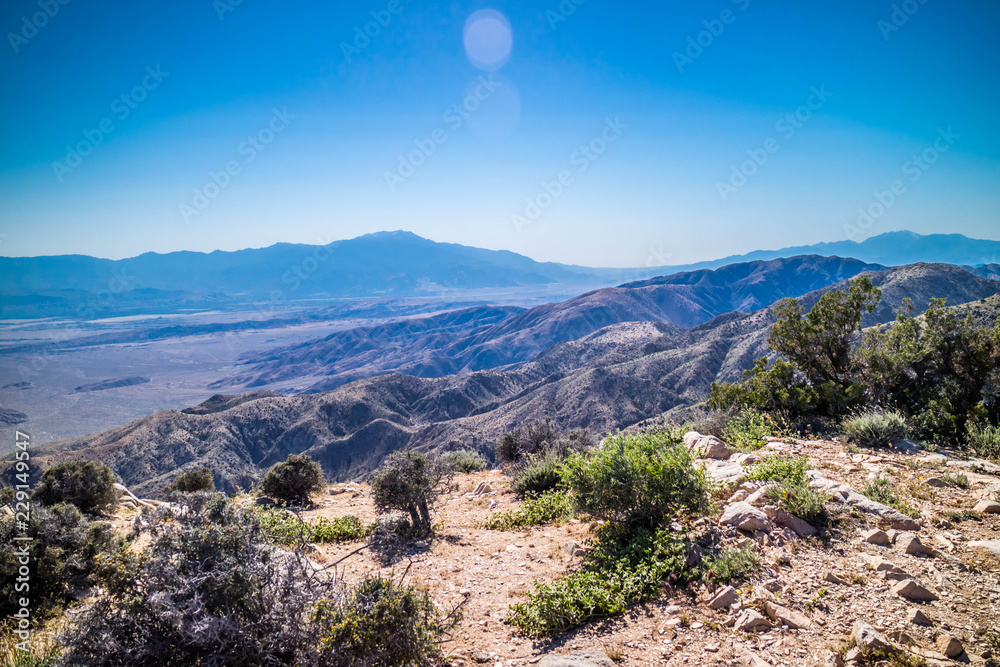 Scenic view of Ryan Mountain in Joshua Tree National Park, California