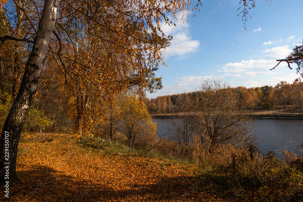 Fototapeta premium autumn landscape with lake and trees