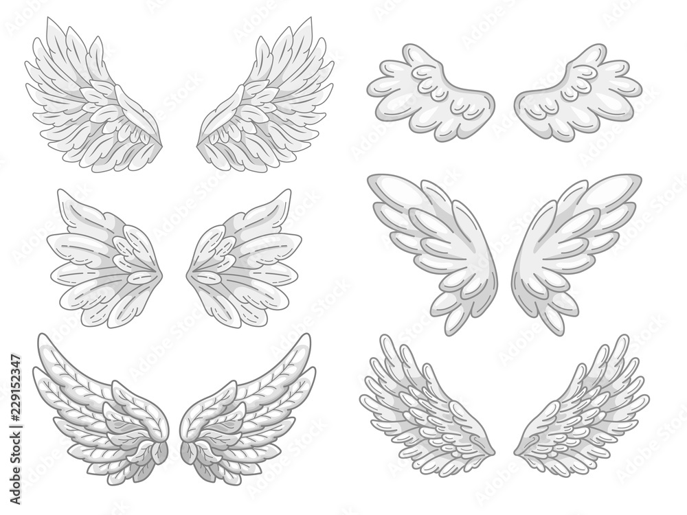 Collection of angel wings with grey and white feathers, wide spread. Contour drawing in modern line style with volume. Vector illustration isolated on white.