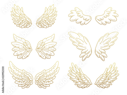 Collection of angel wings, wide open with golden metallic effect. Contour drawing in modern flat line style. Vector illustration, isolated on white.