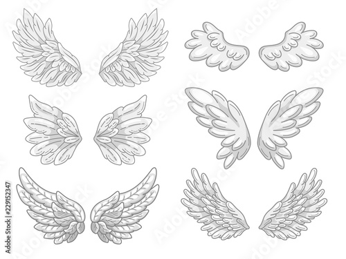 Collection of angel wings with grey and white feathers, wide spread. Contour drawing in modern line style with volume. Vector illustration isolated on white.