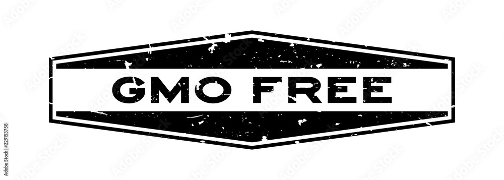 Fototapeta premium Grunge black GMO free word hexagon rubber seal stamp on white background