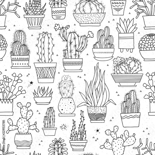 Vector seamless pattern with hand-drawn cacti and succulents in pots