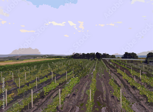 Vine yard landscape Vector. Autumn fall season harvests