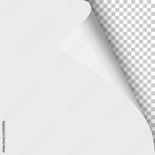 Sheet of white paper with curled corner and soft shadow on transparent background. Element with space for text and ad. Template paper design. Vector illustration.