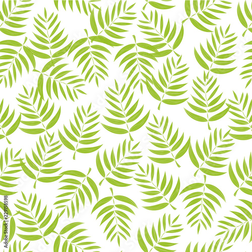 Coconut. Green leaves on a background. Wallpaper, seamless. Sketch.