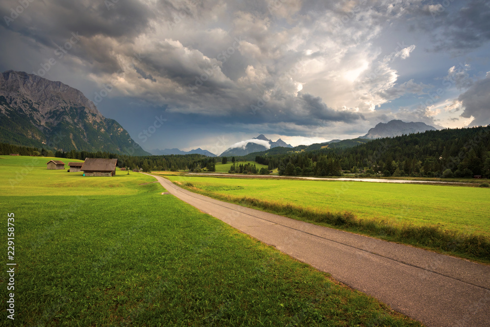 Country road through grass field in Alps.