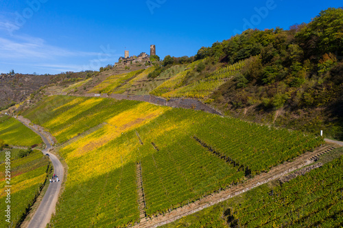 Alken mit Burg Thurant in den Weinbergen, Unterlauf Mosel, Landkreis Mayen – Koblenz, Rheinland-Pfalz, Deutschland photo