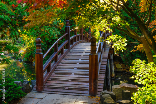 Φωτογραφία Beautiful japanese garden with bridge in autumn time