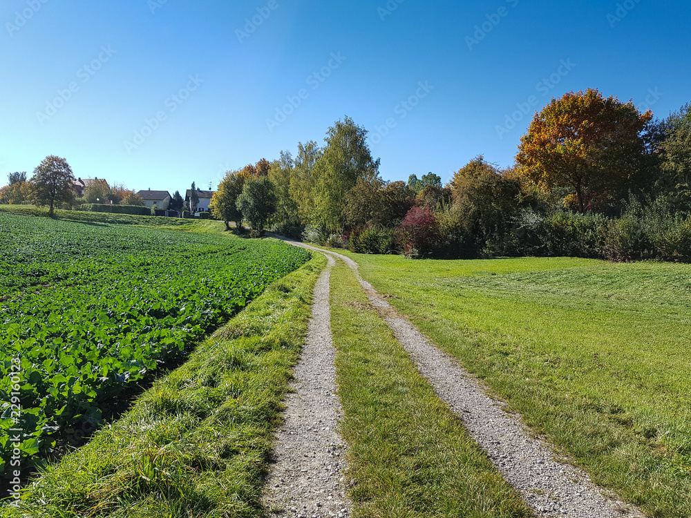 Hersbststimmung draussen auf dem Land