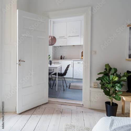 open door into the modern kitchen