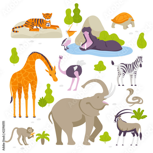 Wild animals in the zoo set of vector illustrations in flat design isolated on white background. Green bushes and trees around.
