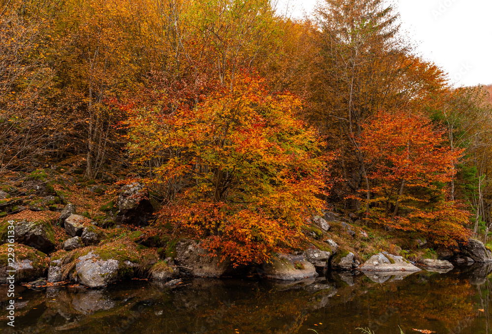 Autumn Mountain River 
