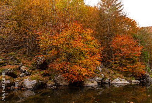 Autumn Mountain River 