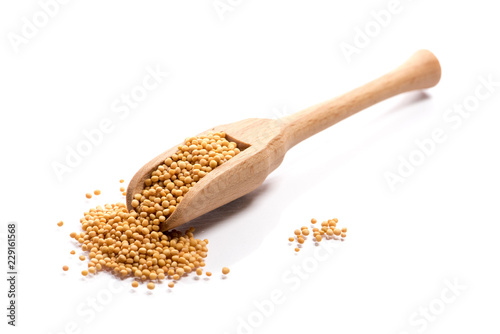 Close-up of pile of raw white mustard seeds in a wooden spoon on white background